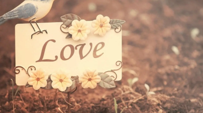 銀川婚介中心 銀川婚介中心